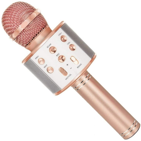 Wireless Bluetooth Karaoke Microphone with Speaker and Recording Function Children's Best Gift Singing Toy