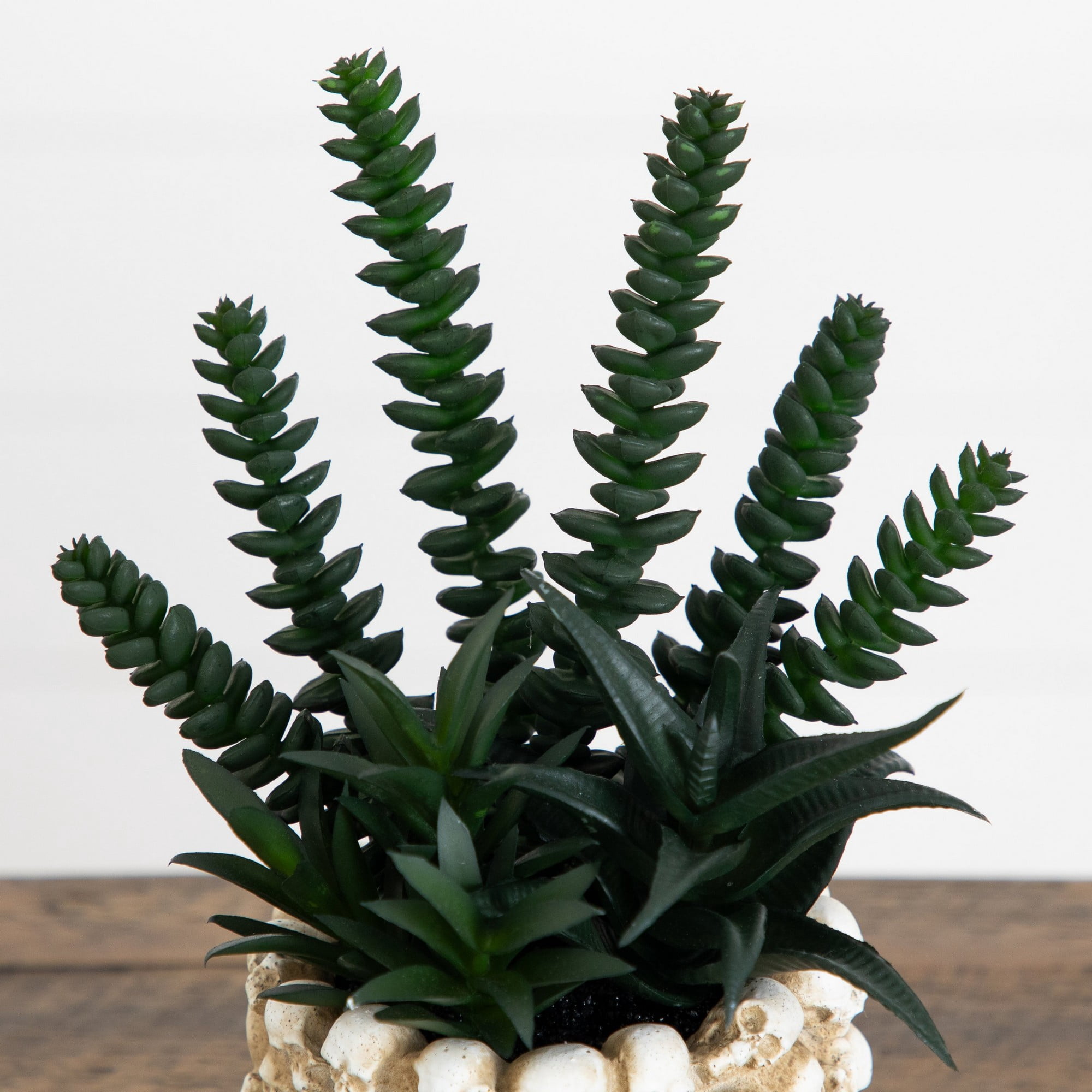 9in. Artificial Halloween Succulent Garden in Gothic Skull Planter