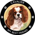 thumbnail image 2 of Cavalier King Charles Cocker Spaniel My Best Friend Magnet, 2 of 3
