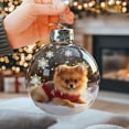 thumbnail image 3 of Hangs Animal 2D Flat Plate Transparent Handmade Winter Series Festival Seasonal Natural Acrylic Decorations, 3 of 4