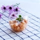 thumbnail image 2 of Florero De Plantas Terrario candeliere Hogar Sala coración Gloria Cuenco redondo para mezclar ensaladas, 2 of 9