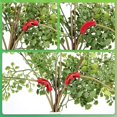 thumbnail image 5 of Zhaomeidaxi Red%26Green - Low-Stress Training Clips - Plant Stem Trainer, Bender - LST Clip, Allow More Light and Air Flow, Saving Effort Plastic Plant Branches Bending Clip for Yard, 5 of 9