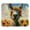 Multicolor 2, variant on PhooArto Comfortable Mouse Pad Vintage Owl on Wood Desktop Mousepad , 21 x 25 cm Mouse Mat, Non-Slip Rubber Base, Improves Speed and Precision