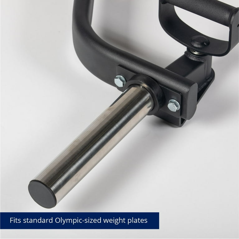 Titan fitness pivoting tricep bar hot sale