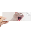 thumbnail image 1 of Animal feroz gato blanco fotografía Rectángulo Parachoques Pegatina Cuaderno Ventana Calcomanía, 1 of 1