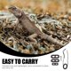 thumbnail image 3 of 1 Set Bearded Dragon Harness Leash Adjustable Reptile Lizard Leash Gecko Harness, 3 of 3