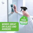 thumbnail image 6 of 1 Pack Glass Cleaner Spray, Streak-Free, Ammonia-Free for Windows, Mirrors & More , 32oz, 6 of 7