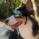 thumbnail image 5 of para Perros Y Mascotas, Gafas de Sol con Protección UV, Gafas Antiviento, Gafas para Ojos , Negro, 5 of 9