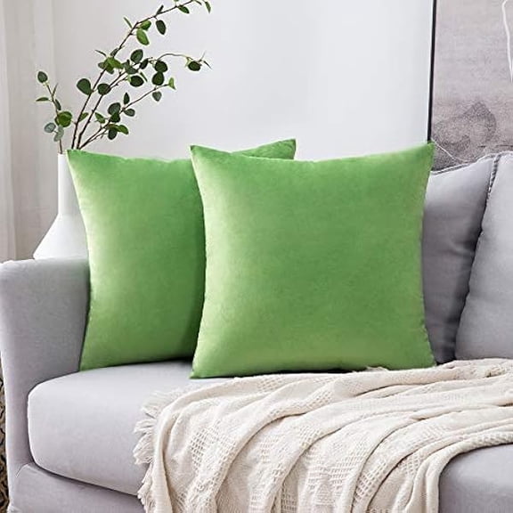 Eryueer Velvet Soft Decorative Square Throw Pillow Case Cushion Covers Pillowcases for Livingroom Sofa Bedroom with Invisible Zipper 16"x16" 2 Pieces Grass