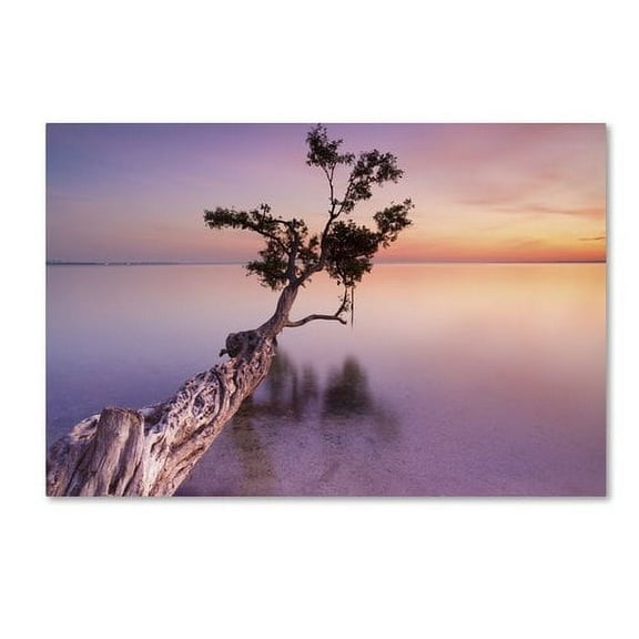 Trademark Fine Art "Water Tree XI" Canvas Art by Moises Levy