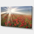 thumbnail image 2 of Blooming Wild Poppies under Sun - Floral Canvas Art Print, 2 of 3