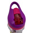 thumbnail image 3 of Cool Gear Paloma Printed 14 Oz Ez-freeze Water Bottle Sipper Straw Flip Cap Fox Owl Porcupine Purple Pink, 3 of 8
