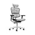 thumbnail image 3 of Ergohuman High Back Executive Chair with Headrest, Grey Mesh Seat & Back, 3 of 4