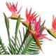 thumbnail image 3 of 32.5 pulgadas grande elegante pájaro del paraíso flor artificial para oficina en casa 3 piezas, escarlata Sincero  Hogar, 3 of 5