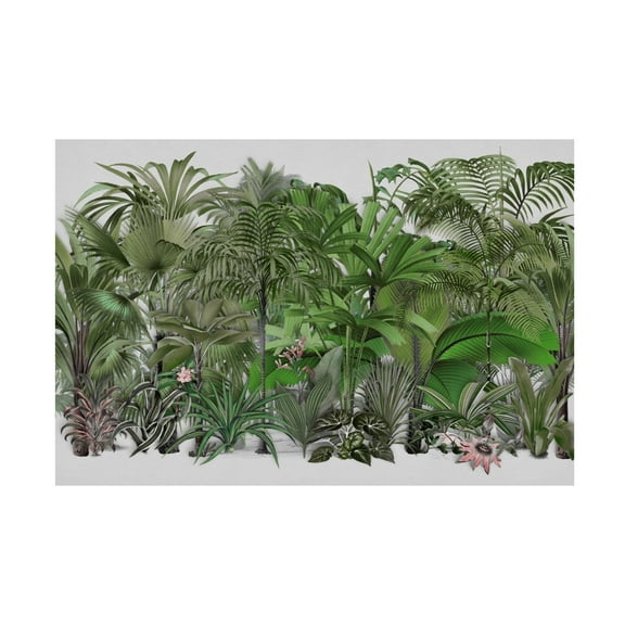 Trademark Fine Art Andrea Haase Exotic Wildlife 003 1 Canvas Wall Art