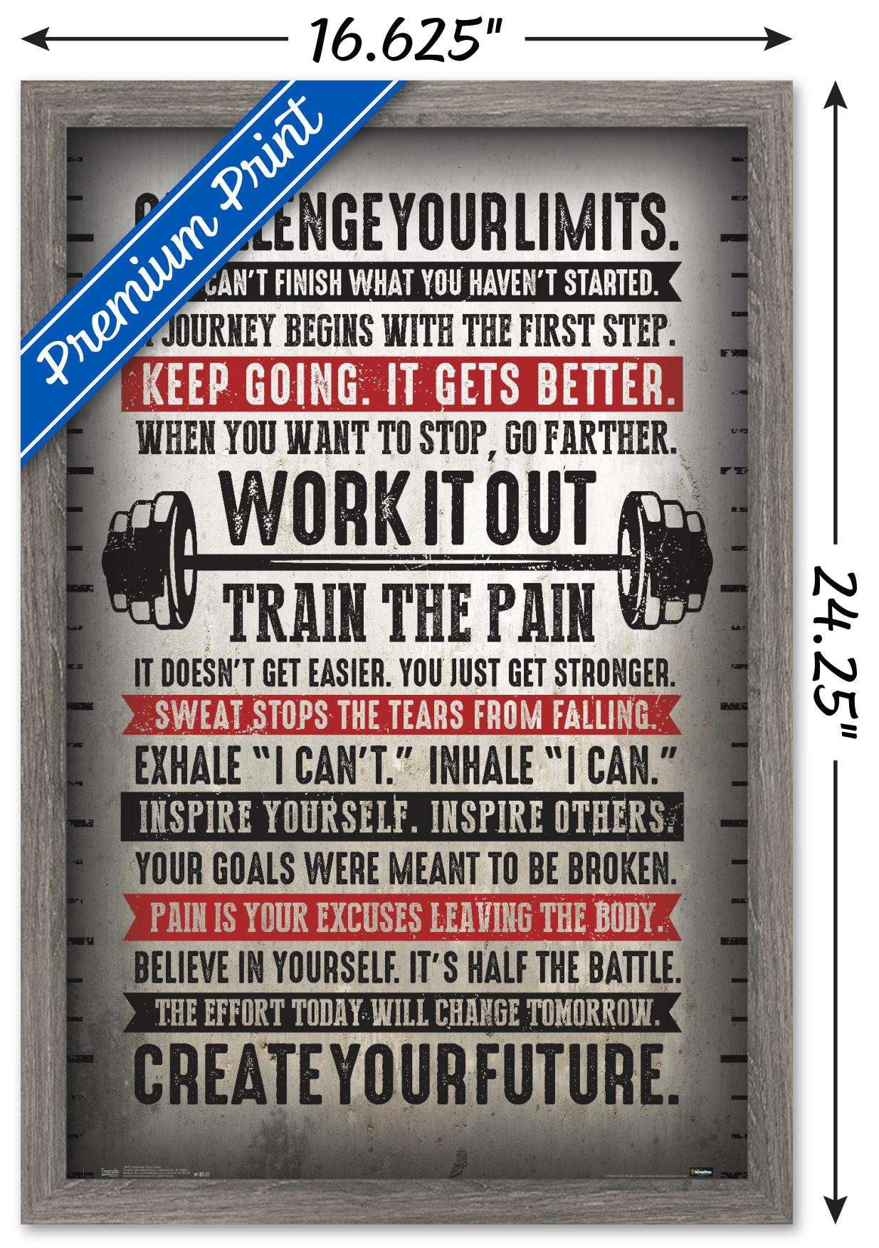 Challenge Your Limits Wall Poster, 14.725" x 22.375", Framed