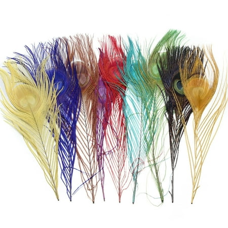 Large Peacock Feathers For Sale 10pcs Real Natural Peacock Tail Eyes Feathers 10-12 Inches for Party Crafting,Green color ()