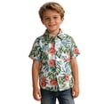 thumbnail image 2 of WQNVRNR Toddler Boys Hawaiian Shirts- Short Sleeve Casual Vacation Print Summer Shirt for Kids Green Size 6 Months, 2 of 9