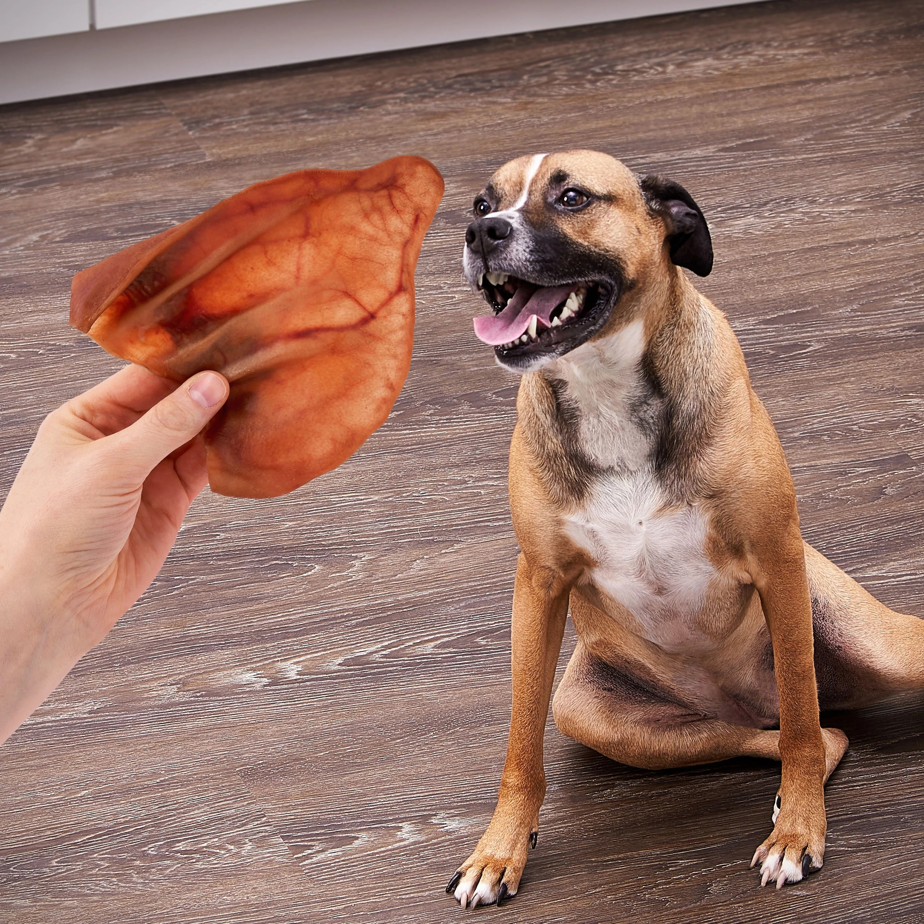 (4 pack) Ol' Roy Natural Jumbo Pig Ear Chew for Dogs, 1 Count
