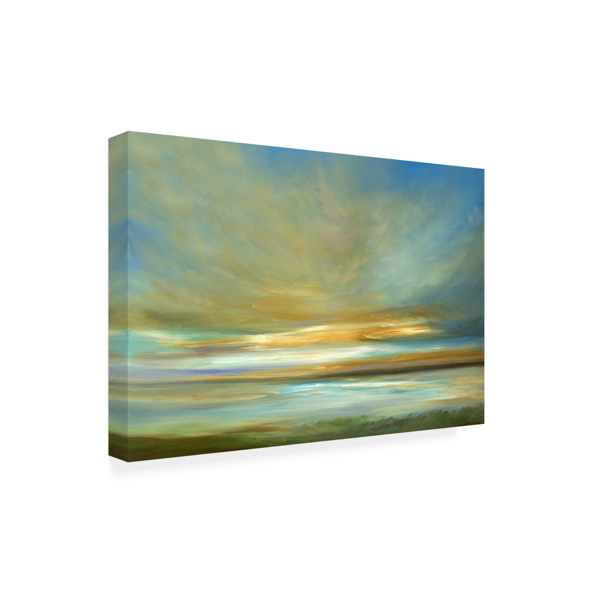Trademark Fine Art 'Light on the Dunes' Canvas Art by Sheila Finch