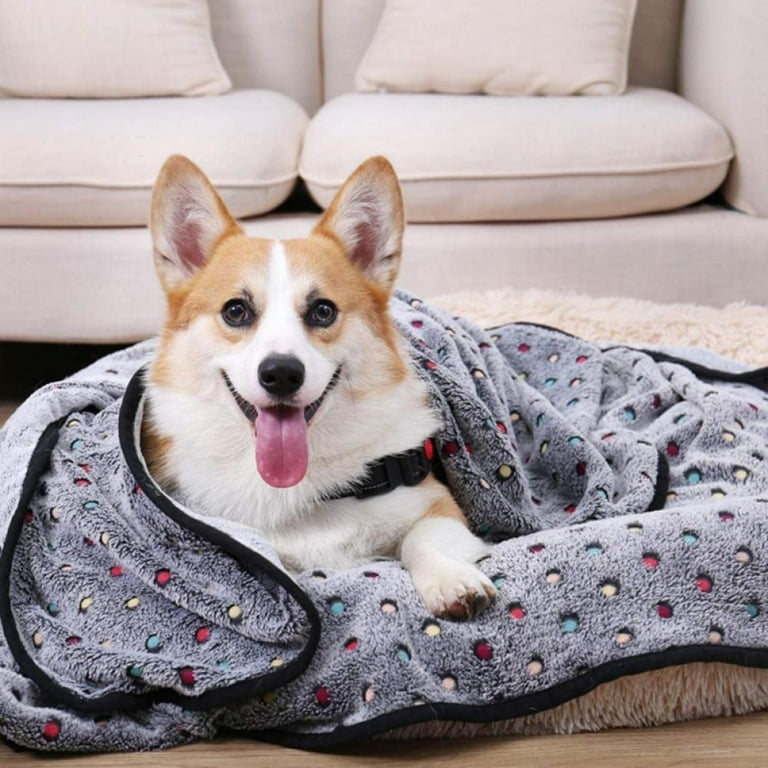 Washable dog blanket 2025