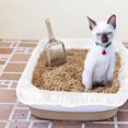 thumbnail image 5 of Alfapet Kitty Cat Litter Box Disposable, Elastic Liners- 12-Count-For Medium And Large, Size Litter Pans- With Sta-Put Technology For Firm, Easy Fit- Quick + Clever Waste Cleaners, 5 of 5
