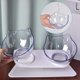 thumbnail image 4 of Comedero anti-vómitos para gatos, comedero antideslizante y ortopédico, comedero doble transparente con soporte elevado (Double Bowl) esquí esquí Gafas de esquí, 4 of 5