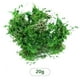 thumbnail image 2 of Musgo Artificial Para Plantas En Maceta, Musgo Verde, Decoración Del Hogar, Jardín De Hadas, Manualidades, Decoración De Bodas, Verde Fresco, 2 of 8