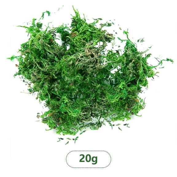 True Moss Sheet Verdsylv Preserved Natural Sheet Moss and Artificial Moss Clumps, Green Moss Pad for Potted Plants, Fairy Garden Crafts, Terrarium Decor, Floral Arrangements and Landscape Design, A