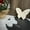 HD04, variant on 3D Animal Mold Cute Butterfly Plaster Hanging Decoration Resin Silicone Clay Mold DIY Love Garden Decoration