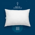 thumbnail image 3 of Almohadas Sognare Línea Base 2 Pack Tamaño Estándar Relleno Semi Firme de Microfibras de Gel, 3 of 7