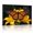 A, variant on XaaKee Bright Monarch Rest 0044 Butterfly Yellow Lilies Botanical Modern Canvas Wall Art Art Prints Canvas Prints Wall Art Inner Framed 18*12Inch