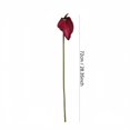 thumbnail image 3 of BotaniNest [ ] A Must Have For High End Home These Persistently Bringing A Springtime And Perfectly Creating A Cozy !, 3 of 3