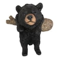 thumbnail image 2 of Rustic Western Forest Black Bear Cub Frolic Dangling On Tree Branch Wall Decor, 2 of 6
