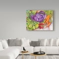 thumbnail image 3 of Trademark Fine Art Floral Canvas Art ' Fall Vegetables ' by Joanne Porter, 3 of 3