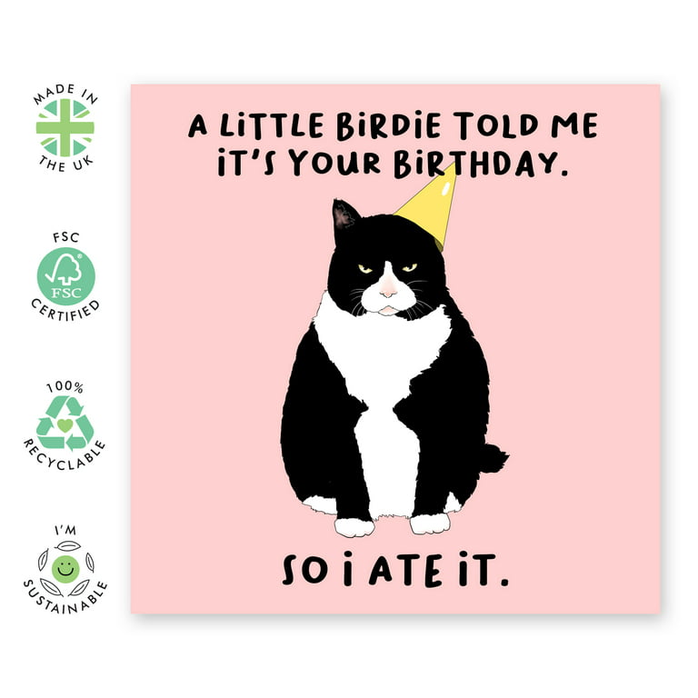 Central 23 - Funny Birthday Card - A Little Birdie Told Me It's Your  Birthday So I Ate It - Cat Birthday Card - Comes With Fun Stickers 