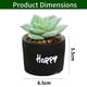 thumbnail image 2 of 2 uds., lavabo de cemento suculento, bonsái, flor de simulación, decoración artificial creativa para el hogar, 2 of 5