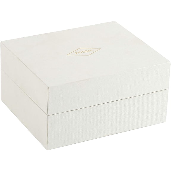 Fossil Men's Coachman Chronograph Stainless Steel Watch