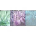 thumbnail image 2 of Franklin 14x8 White Modern Wood Framed Museum Art Print Titled - Morning Mist Plum, 2 of 4