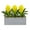 Yellow, variant on Bromeliad Artificial Plant in Stone Planter