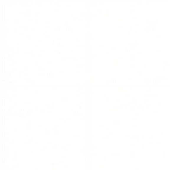 Via Smooth Pure White 24# #10 Envelope 500/pack