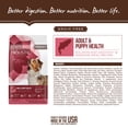 Holistic Select Natural Grain Free Dry Dog Food, Adult &amp; Puppy Salmon ...