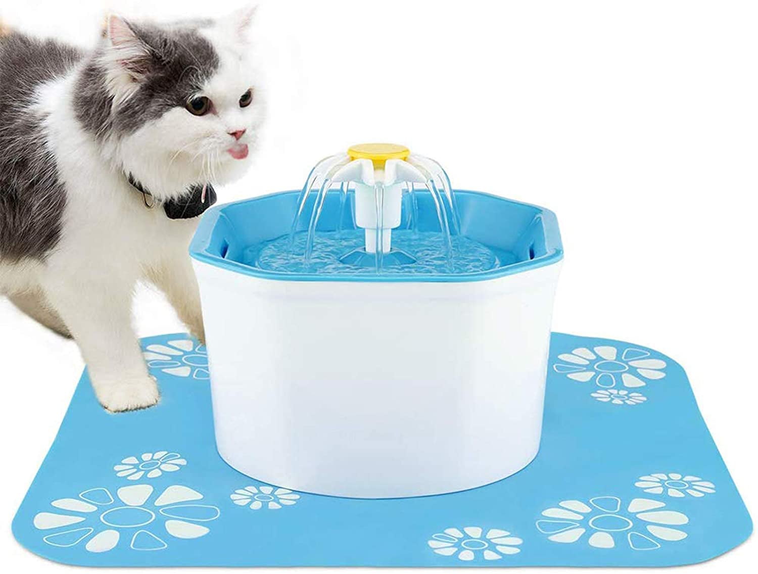 fresh water cat bowl