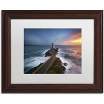 Trademark Fine Art "Red of Pleasure" Canvas Art by Mathieu Rivrin, White Matte, Wood Frame