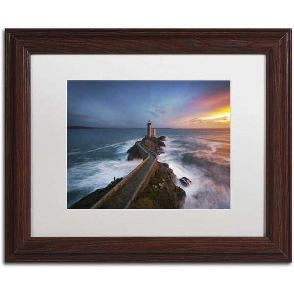 Trademark Fine Art "Red of Pleasure" Canvas Art by Mathieu Rivrin, White Matte, Wood Frame