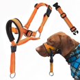 thumbnail image 1 of Safety Strap Dog Head Halter: Reflective Dog Head Collar for No-Pull Training - Adjustable Harness_Special Gift, 1 of 5