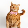 thumbnail image 7 of Mumup 2 Pcs Red Cat Collar for Boy Girl Cats Breakaway Cat Collars with Bell Cute Christmas Kitten Bow Tie Collar Adjustable Small Puppy Safety Collar Solid Color Plaid Pet Collar, 7 of 7
