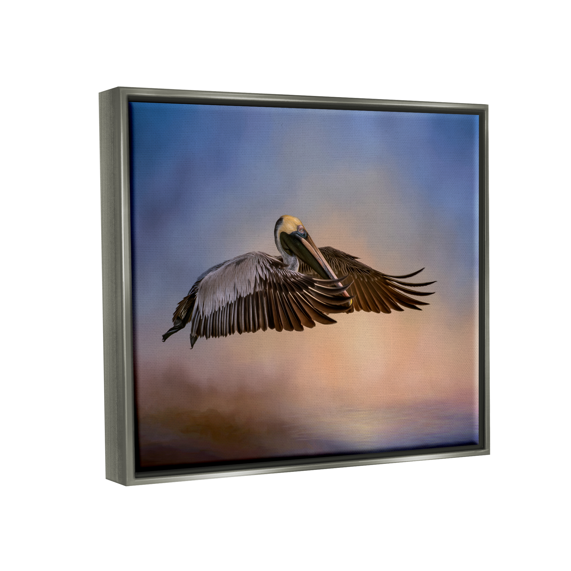 Stupell Industries Graceful Flyer Pelican Portrait Animals & Insects Photography Gray Floater Framed Art Print Wall Art, 31 x 25