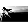thumbnail image 3 of Frick, Christine 18x12 Black Modern Framed Museum Art Print Titled - sun salutation, 3 of 5