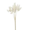 thumbnail image 2 of 2 juegos de de flores secas naturales, hierba de cola , decoración de tallos DIY Soledad hierba de pampa seca, 2 of 4
